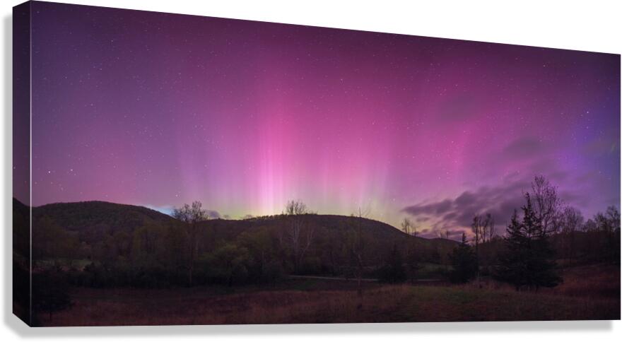 The Arrival Canvas Print