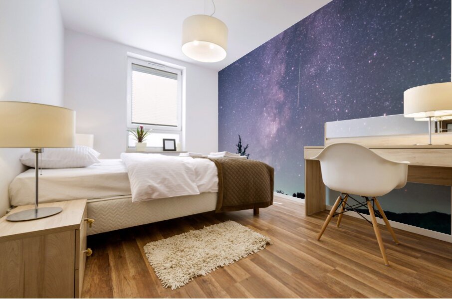 Perseid Before Dawn Mural print