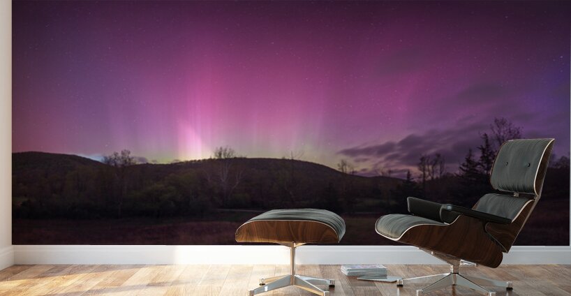 The Arrival Wall Murals