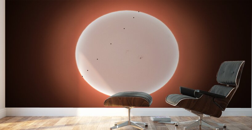 Mercury Across the Sun Wall Murals